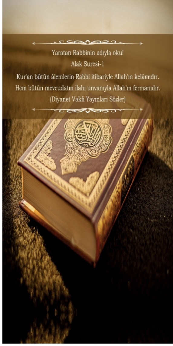 Alak Suresi-1 İmam Hatip Okulları Kapı Giydirmesi