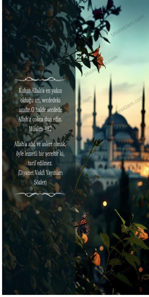 Müslim-482 İmam Hatip Okulları Kapı Giydirmesi