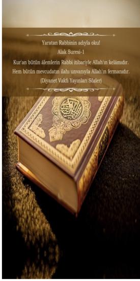 Alak Suresi-1 İmam Hatip Okulları Kapı Giydirmesi