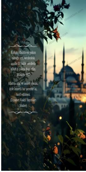 Müslim-482 İmam Hatip Okulları Kapı Giydirmesi