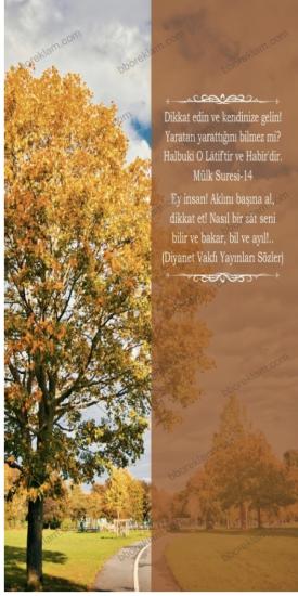 Mülk Suresi-14 İmam Hatip Okulları Kapı Giydirmesi